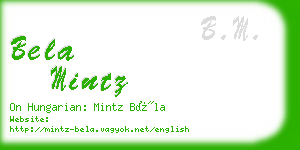 bela mintz business card